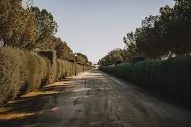 Réception à la Finca